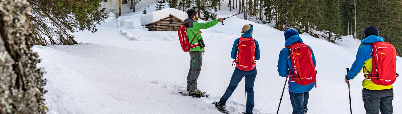 Schneeschuhwandern im Seebachtal