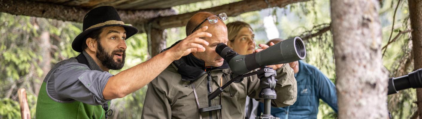 Wildtierbeobachtung mit Nationalparkranger