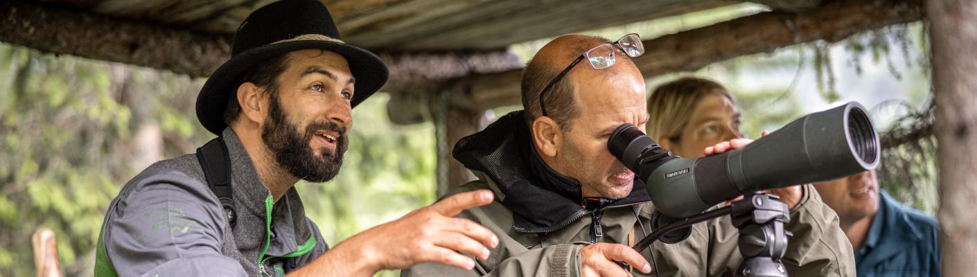 Wildtierbeobachtung mit Nationalparkranger