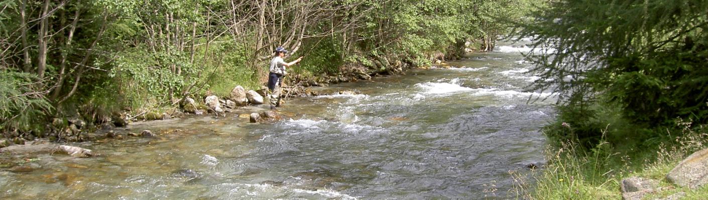 Fischen im Seebach