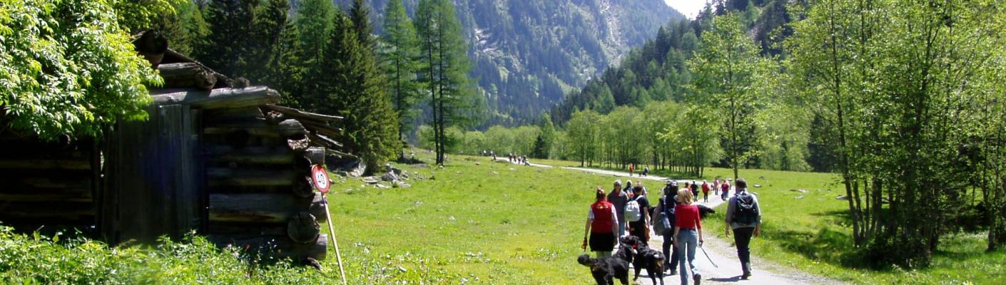 Hiking in the valley Seebachtal