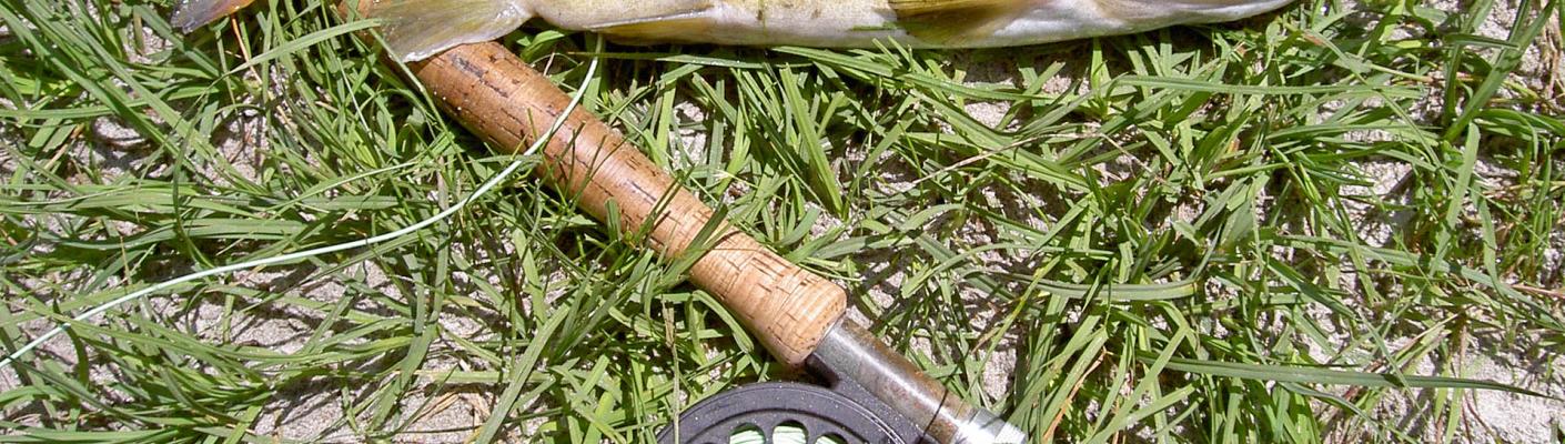 Fliegenfischen im Nationalpark Hohe Tauern