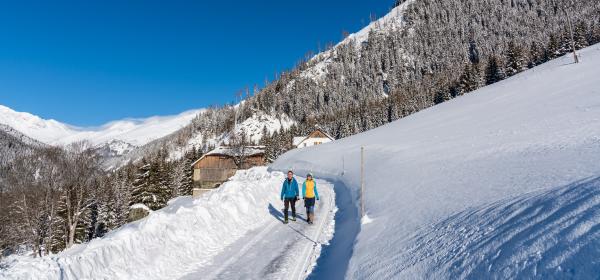 Winterwandern im Dösental