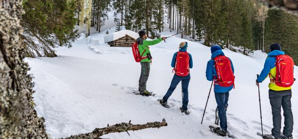 Wildtierbeobachtung mit Nationalparkranger