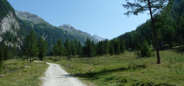 Escursione in montagna "Säuleck"