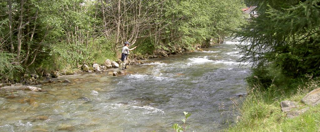 Fischen im Seebach