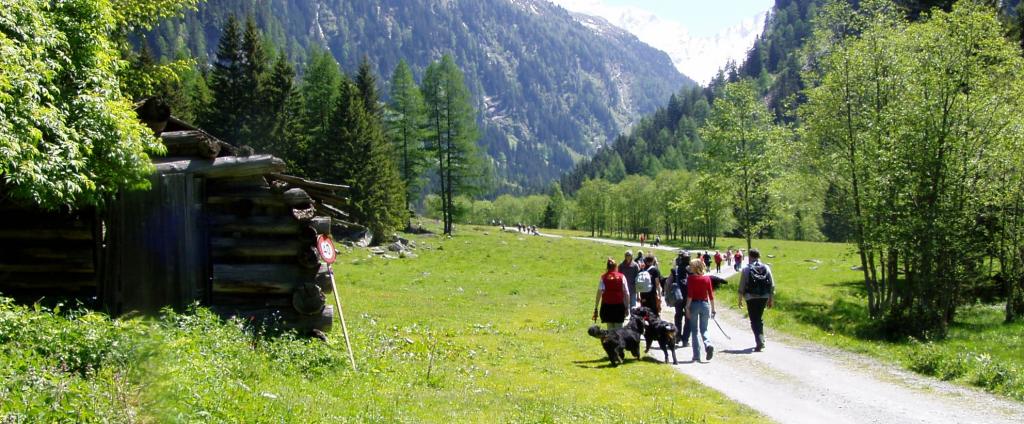 Hiking in the valley Seebachtal