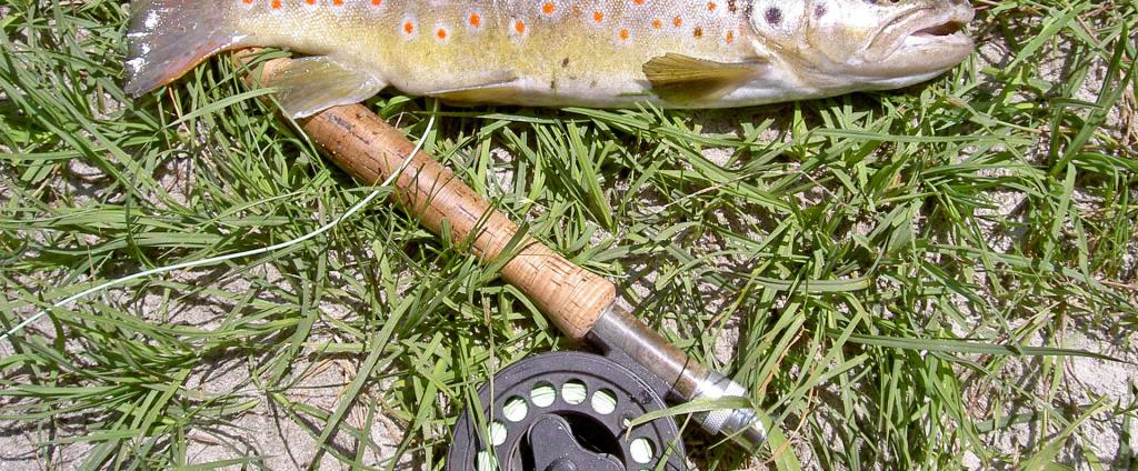 Fliegenfischen im Nationalpark Hohe Tauern