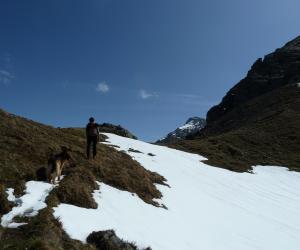 Mountain tour "Marensenspitze"