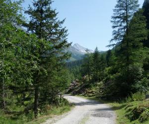 Mountain tour "Säuleck"