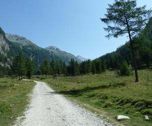 Bergtour Säuleck