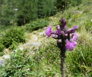 Bergtour Säuleck