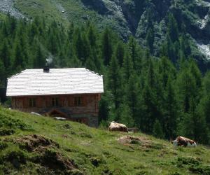 Mountain tour "Säuleck"