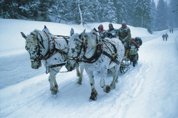 Pferdekutschenfahrt im Tauerntal