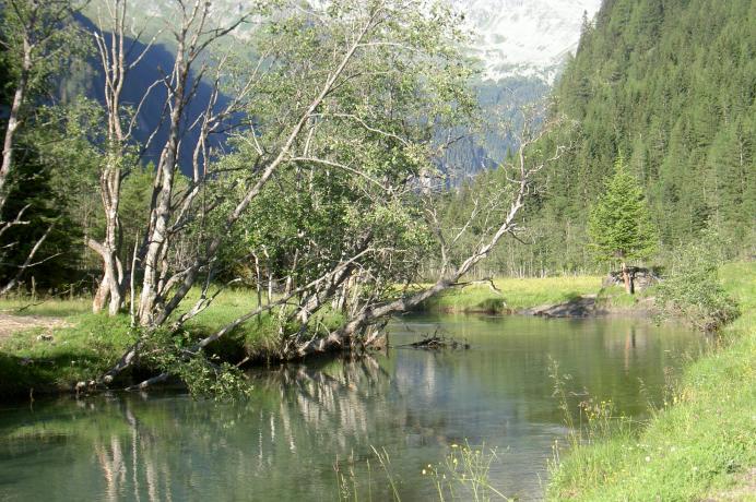 Seebach nach Stappitzersee