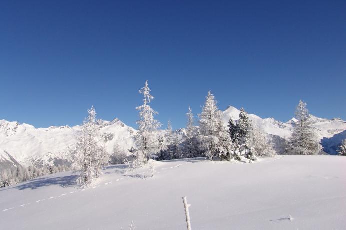 Schneeschuhwandern