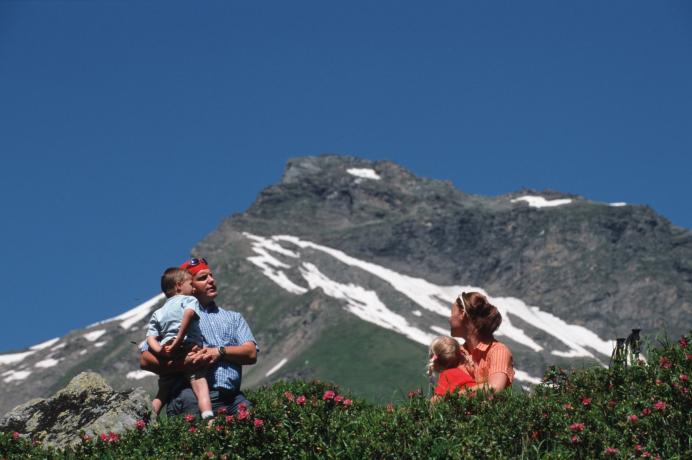 Wander während der Almrauschblüte