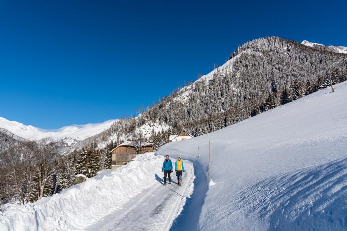 Schneeschuhwanderung mit Wildtierbeobachtung