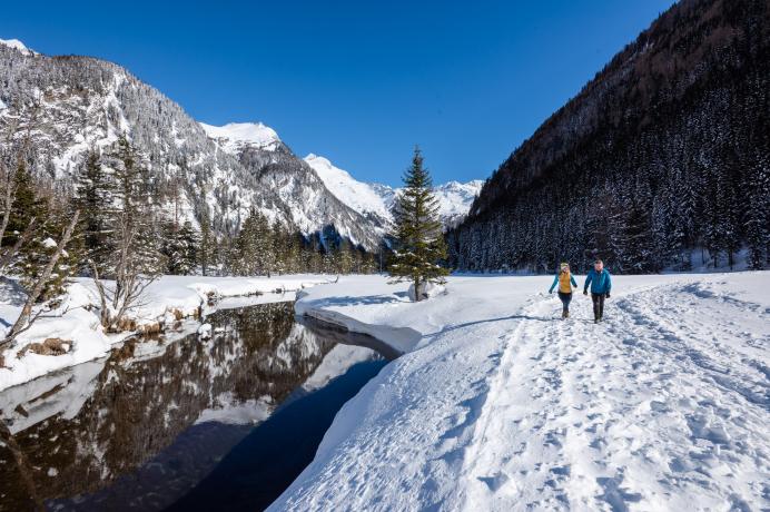 Winterwandern im Seebachtal