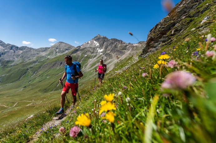 Tauernhöhenweg Nähe Hagenerhütte 2440m