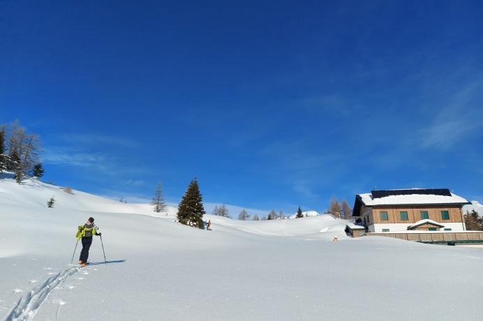 Häusleralm 1900m