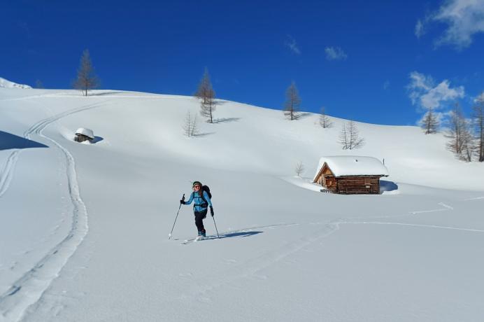 Häusleralm 1900m