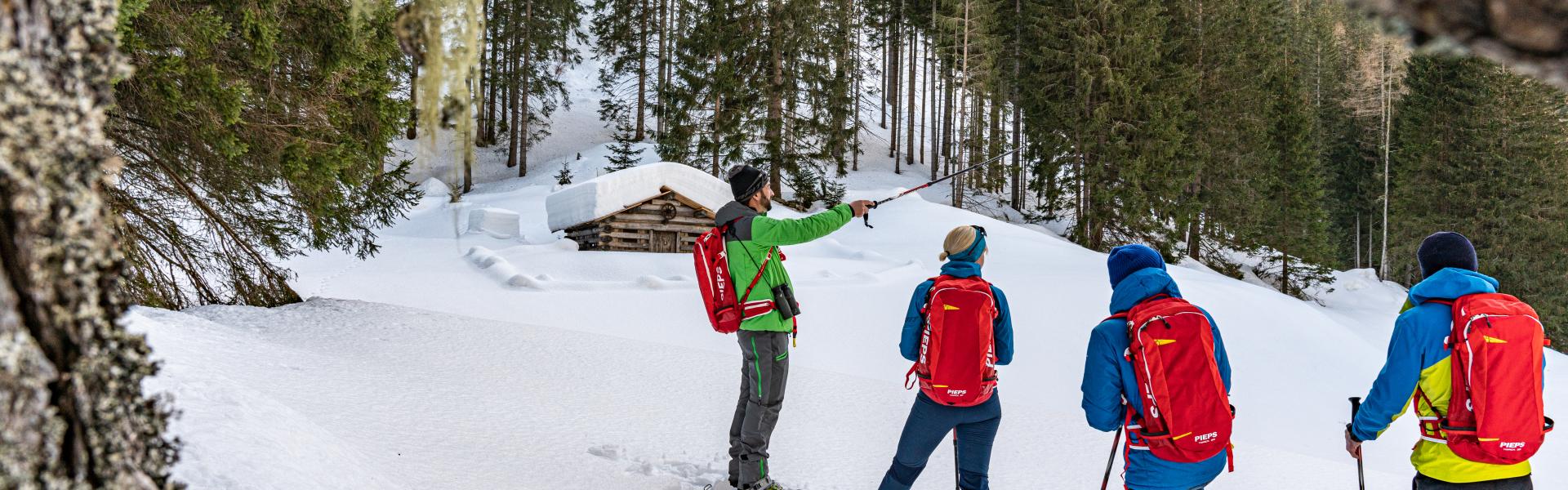 Wildtierbeobachtung mit Nationalparkranger