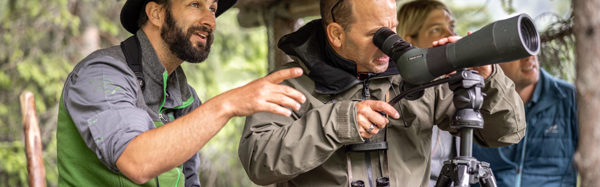 Wildtierbeobachtung mit Nationalparkranger