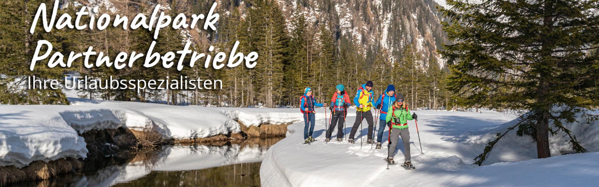 Wildtierbeobachtung mit Nationalparkranger